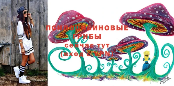 спиды Билибино