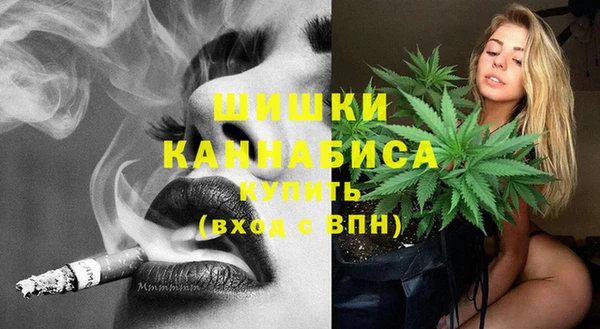 спиды Билибино