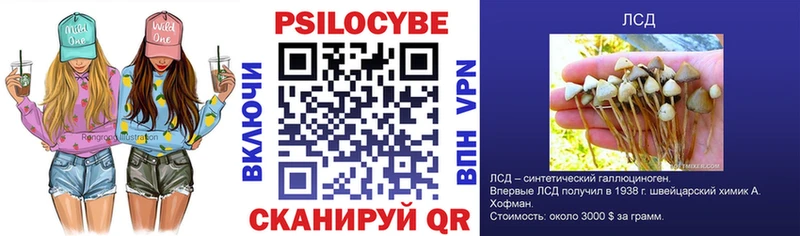 Псилоцибиновые грибы Psilocybine cubensis  Карабулак 